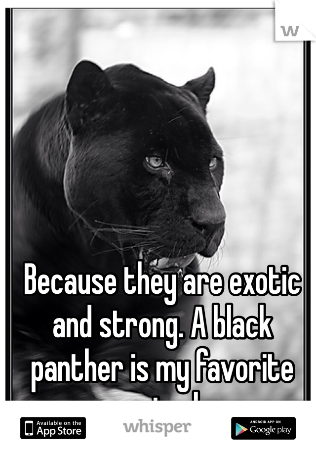 Because they are exotic and strong. A black panther is my favorite animal