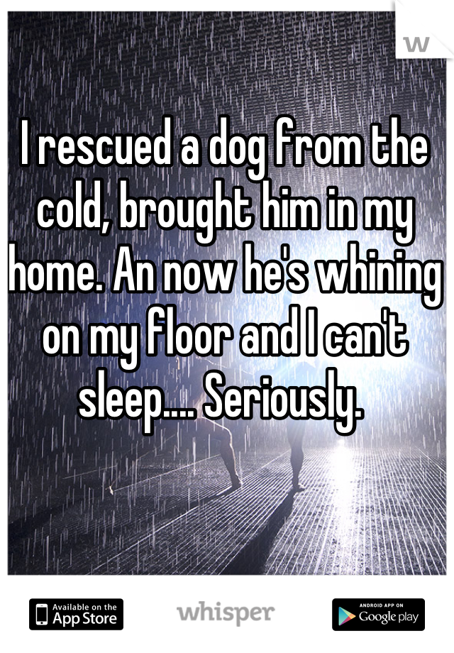 I rescued a dog from the cold, brought him in my home. An now he's whining on my floor and I can't sleep.... Seriously. 