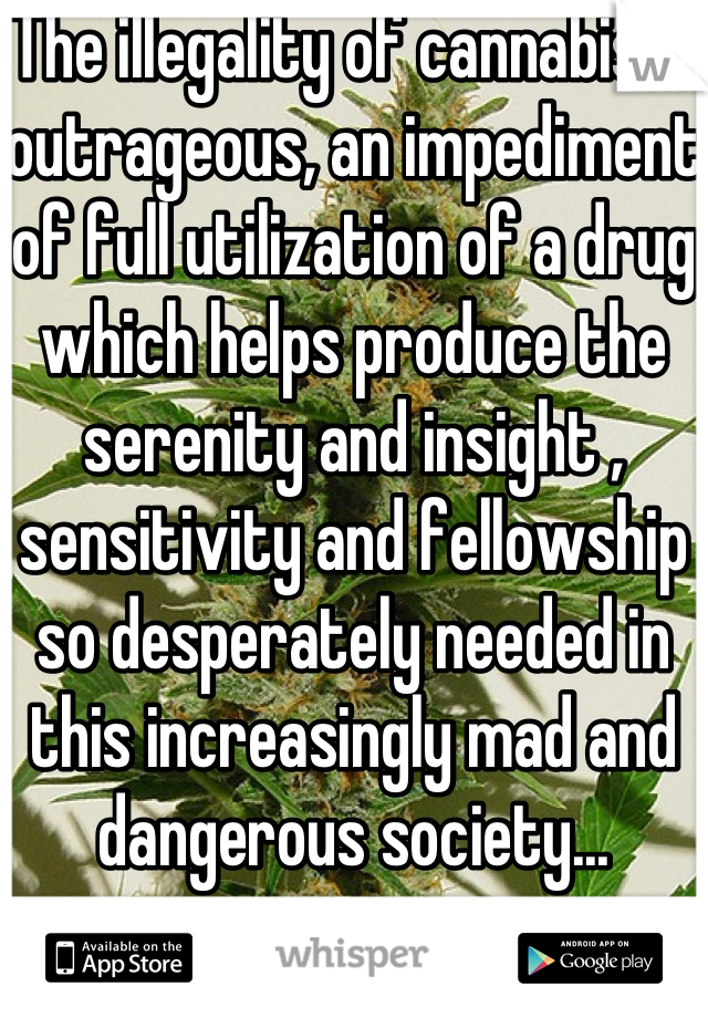 The illegality of cannabis is outrageous, an impediment of full utilization of a drug which helps produce the serenity and insight , sensitivity and fellowship so desperately needed in this increasingly mad and dangerous society...