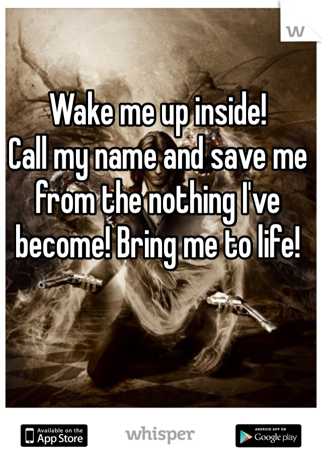 Wake me up inside!
Call my name and save me from the nothing I've become! Bring me to life!