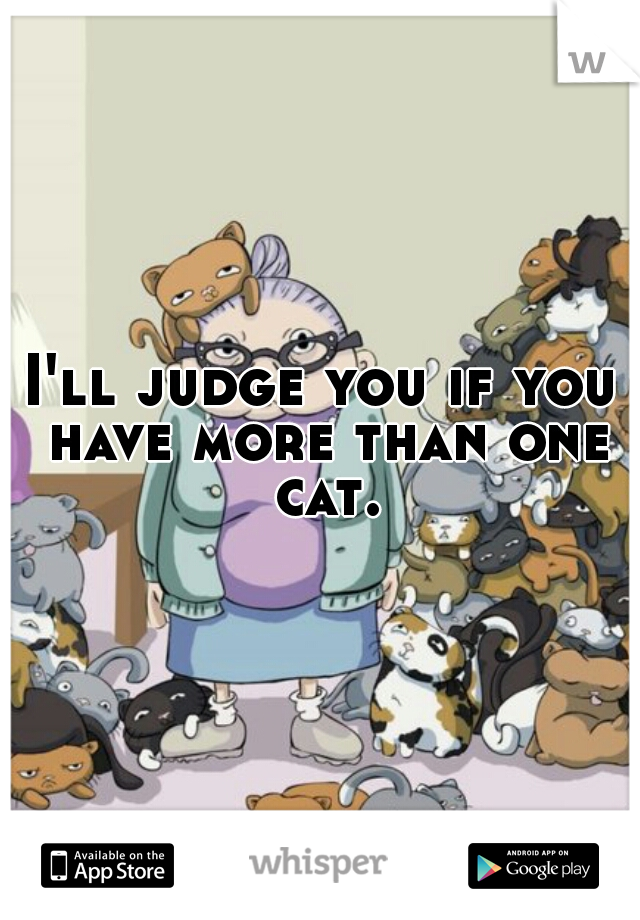 I'll judge you if you have more than one cat.