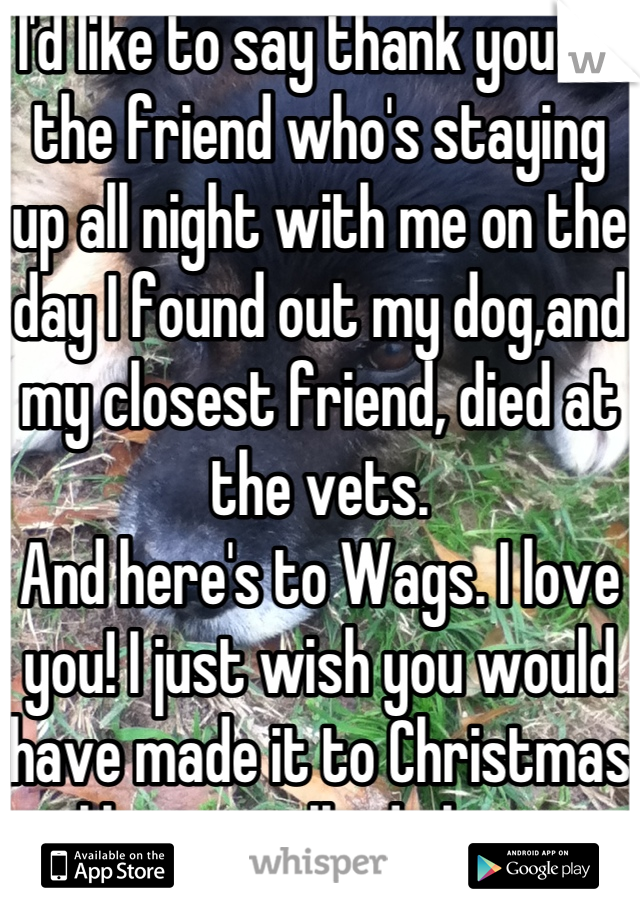 I'd like to say thank you to the friend who's staying up all night with me on the day I found out my dog,and my closest friend, died at the vets. 
And here's to Wags. I love you! I just wish you would have made it to Christmas like we talked about.