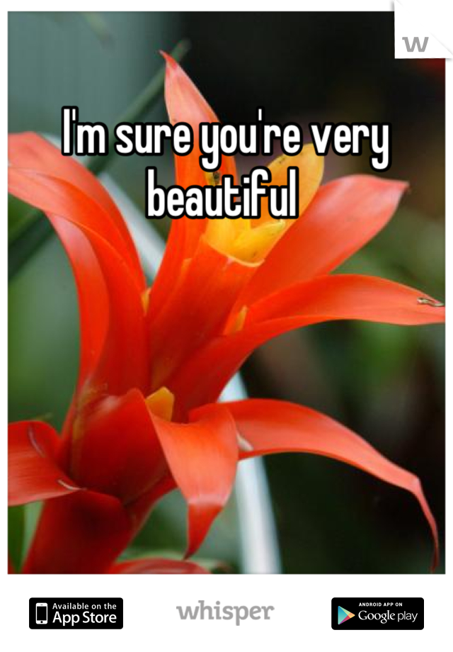 I'm sure you're very beautiful 
