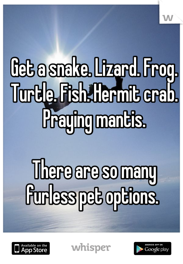Get a snake. Lizard. Frog. Turtle. Fish. Hermit crab. Praying mantis. 

There are so many furless pet options. 