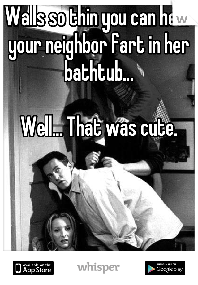 Walls so thin you can hear your neighbor fart in her bathtub... 

Well... That was cute.