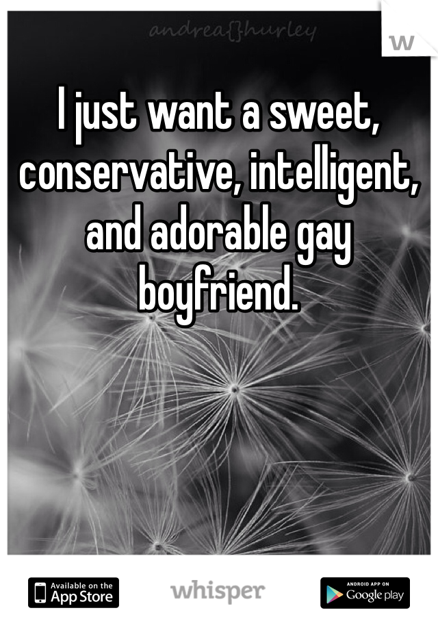 I just want a sweet, conservative, intelligent, and adorable gay boyfriend. 