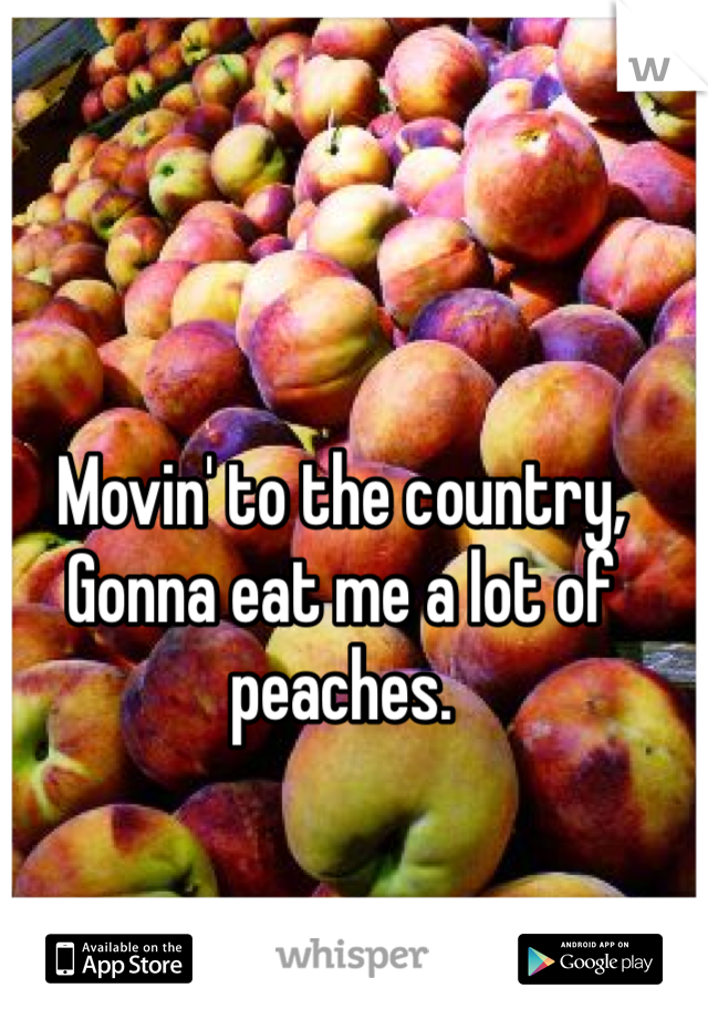 Movin' to the country,
Gonna eat me a lot of peaches. 