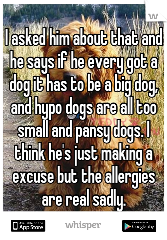 I asked him about that and he says if he every got a dog it has to be a big dog, and hypo dogs are all too small and pansy dogs. I think he's just making a excuse but the allergies are real sadly.