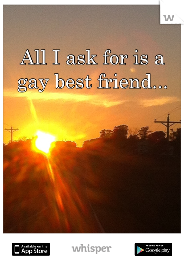 All I ask for is a gay best friend...