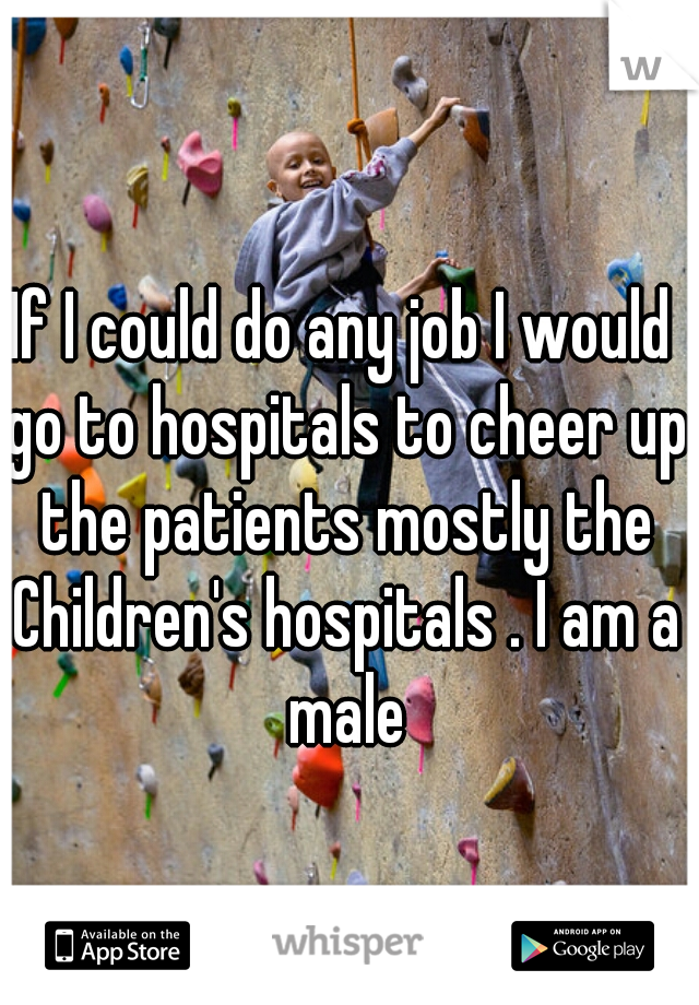 If I could do any job I would go to hospitals to cheer up the patients mostly the Children's hospitals . I am a male