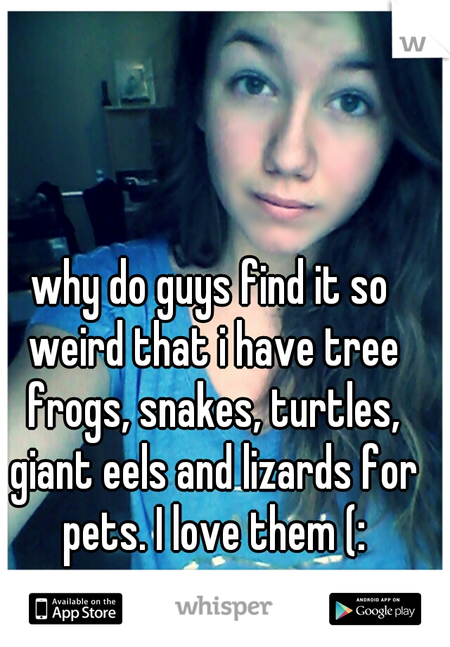 why do guys find it so weird that i have tree frogs, snakes, turtles, giant eels and lizards for pets. I love them (: