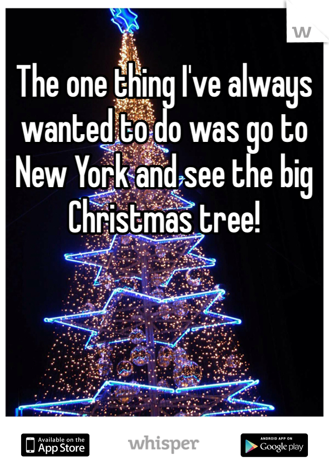 The one thing I've always wanted to do was go to New York and see the big Christmas tree!