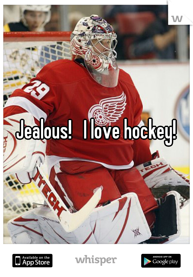 Jealous!   I love hockey!
