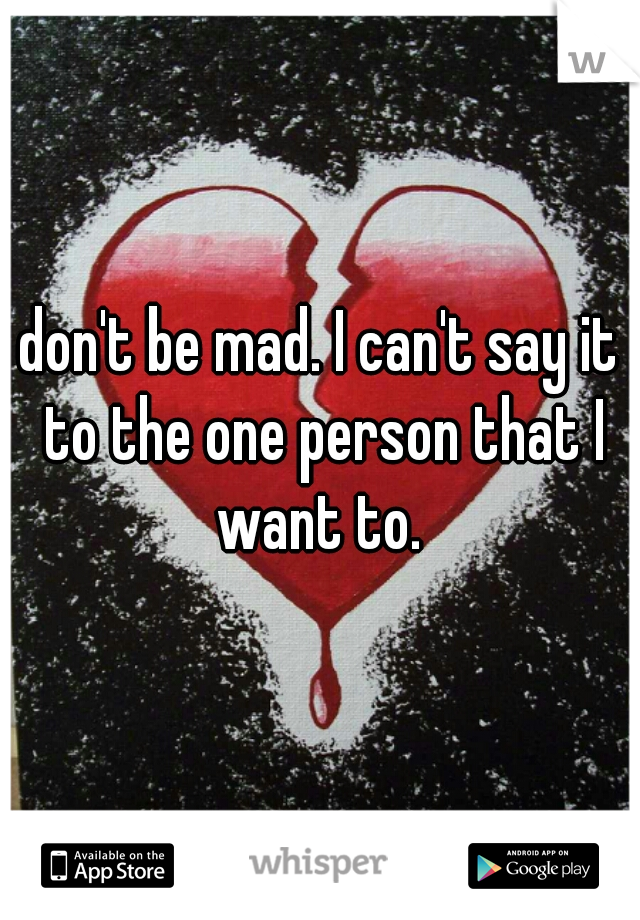 don't be mad. I can't say it to the one person that I want to. 