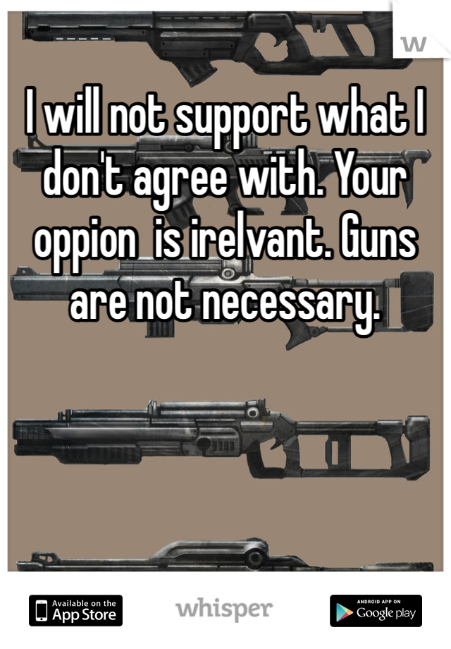 I will not support what I don't agree with. Your oppion  is irelvant. Guns are not necessary. 