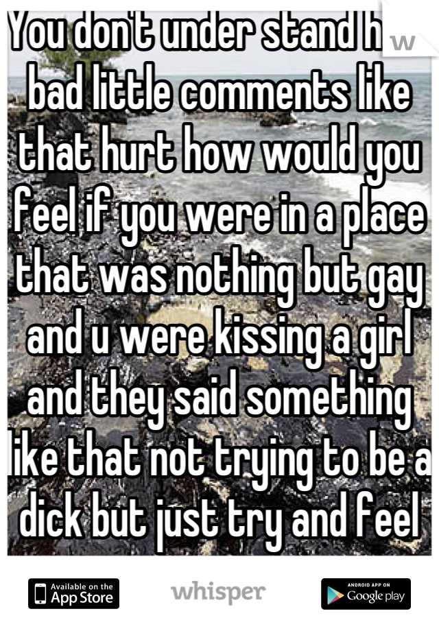 You don't under stand how bad little comments like that hurt how would you feel if you were in a place that was nothing but gay and u were kissing a girl and they said something like that not trying to be a dick but just try and feel 