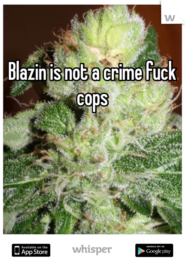 Blazin is not a crime fuck cops