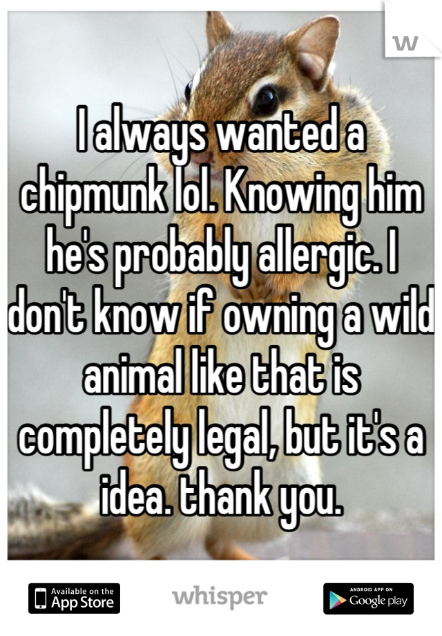 I always wanted a chipmunk lol. Knowing him he's probably allergic. I don't know if owning a wild animal like that is completely legal, but it's a idea. thank you.