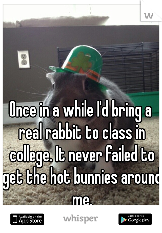 Once in a while I'd bring a real rabbit to class in college. It never failed to get the hot bunnies around me.