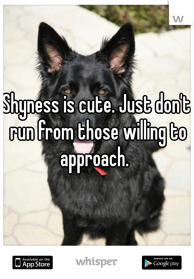 Shyness is cute. Just don't run from those willing to approach.  