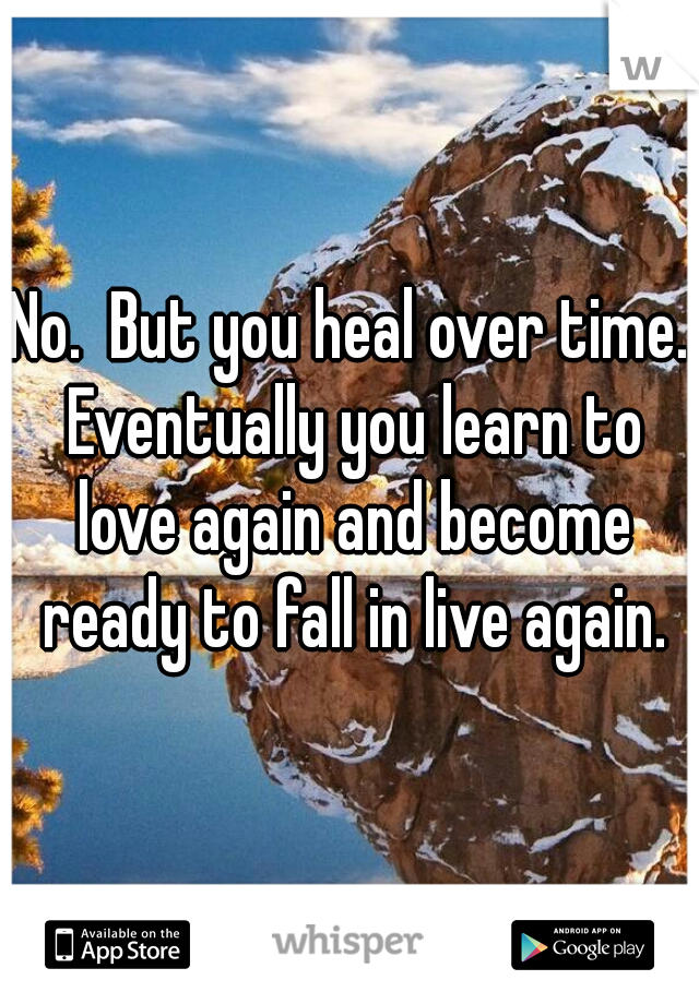 No.  But you heal over time. Eventually you learn to love again and become ready to fall in live again.