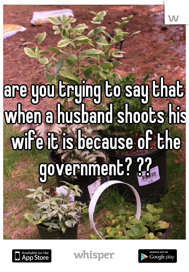 are you trying to say that when a husband shoots his wife it is because of the government? ??