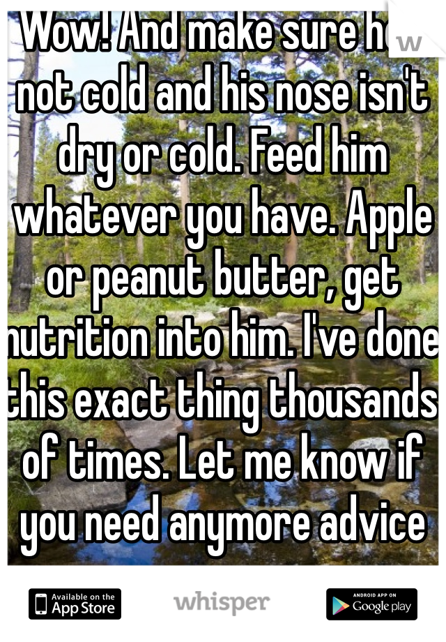 Wow! And make sure he's not cold and his nose isn't dry or cold. Feed him whatever you have. Apple or peanut butter, get nutrition into him. I've done this exact thing thousands of times. Let me know if you need anymore advice 
