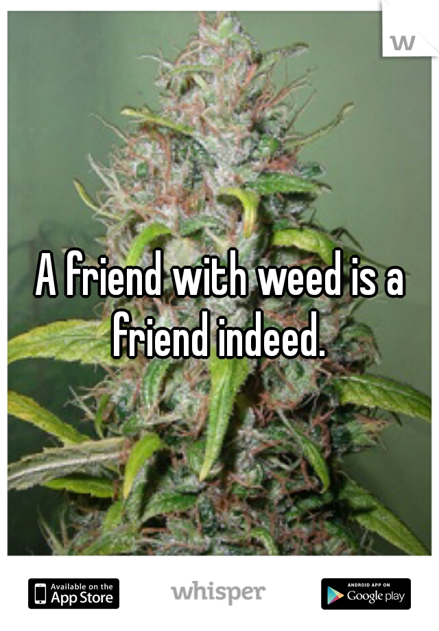 A friend with weed is a friend indeed. 