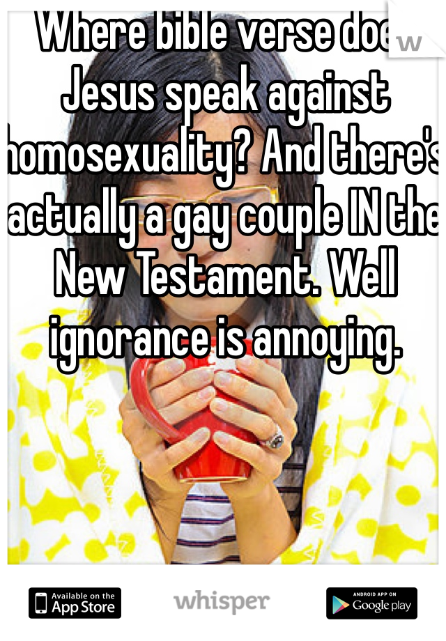 Where bible verse does Jesus speak against homosexuality? And there's actually a gay couple IN the New Testament. Well ignorance is annoying. 