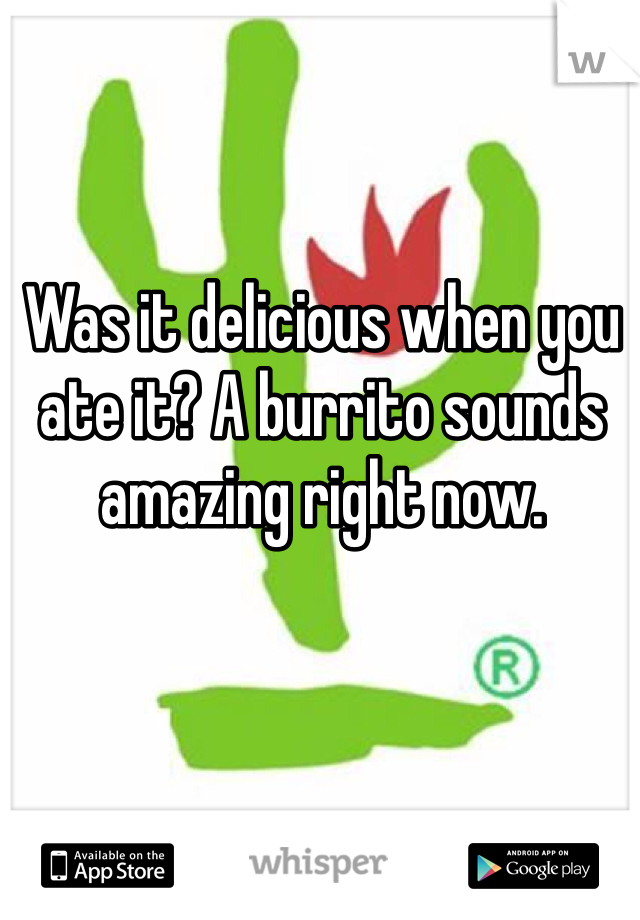 Was it delicious when you ate it? A burrito sounds amazing right now.
