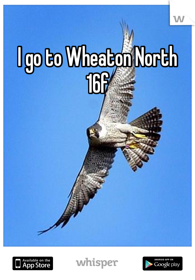 I go to Wheaton North 
16f