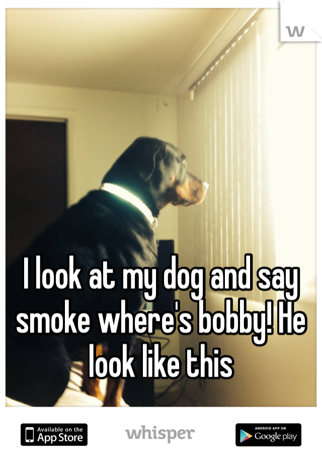 




I look at my dog and say smoke where's bobby! He look like this