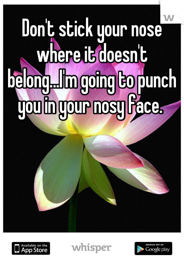 Don't stick your nose where it doesn't belong...I'm going to punch you in your nosy face. 