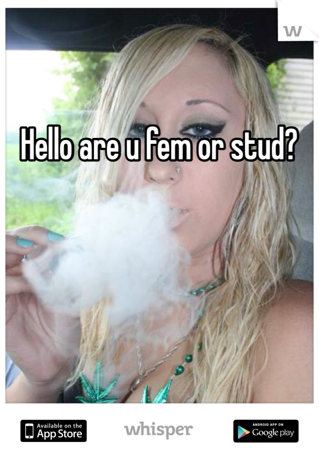 Hello are u fem or stud?