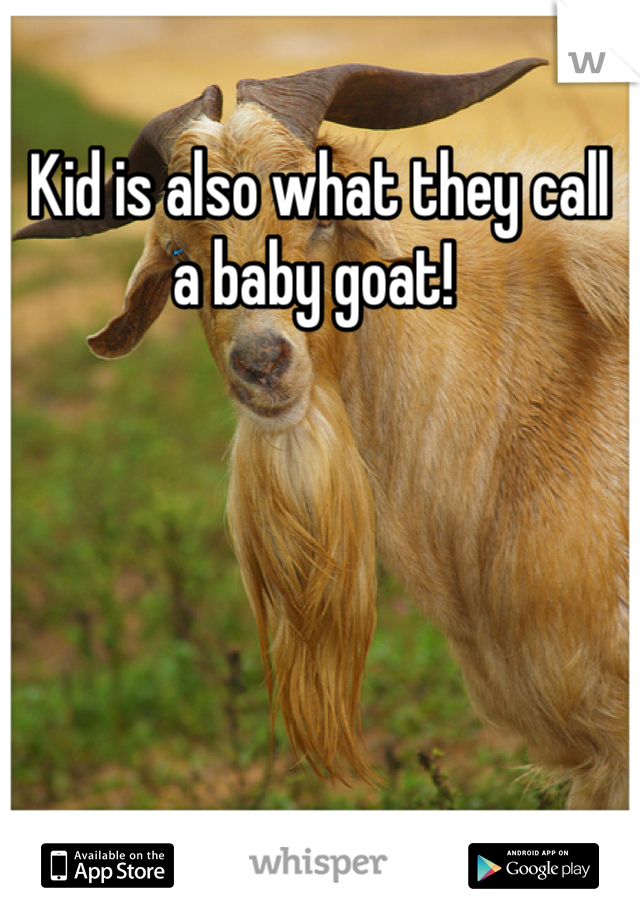 Kid is also what they call a baby goat! 