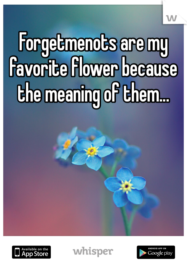 Forgetmenots are my favorite flower because the meaning of them...