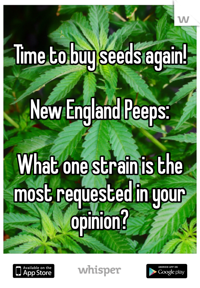 Time to buy seeds again!

New England Peeps:

What one strain is the most requested in your opinion?