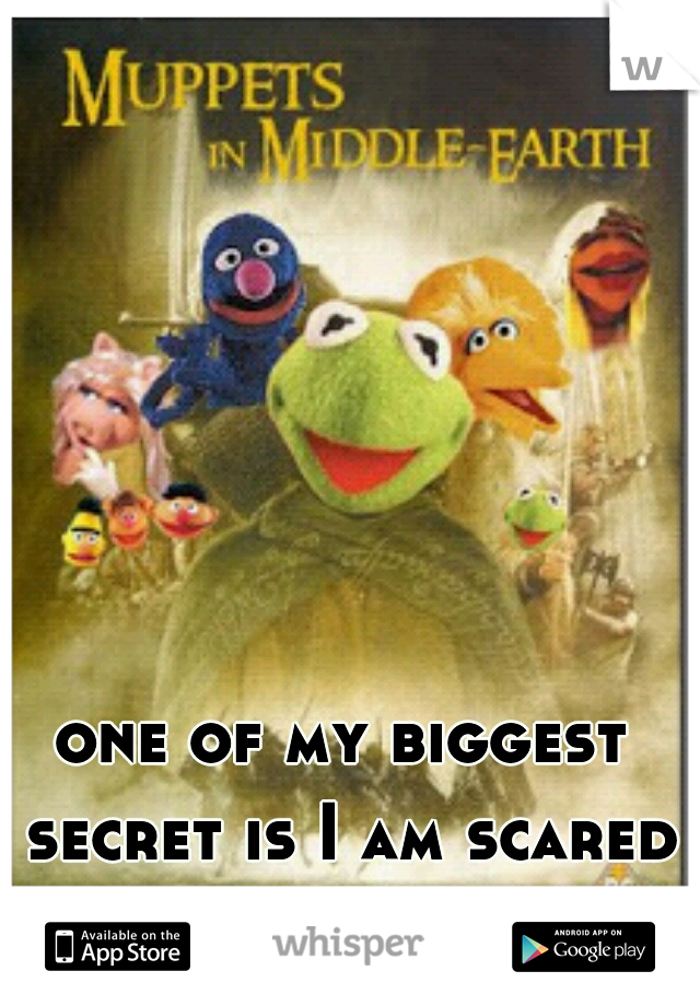 one of my biggest secret is I am scared of muppets 