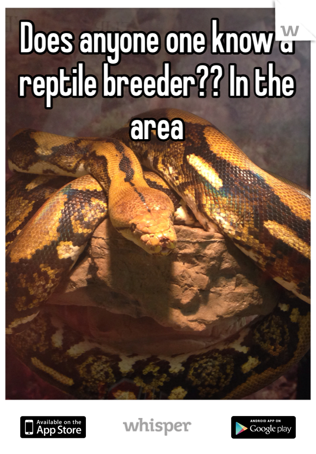 Does anyone one know a reptile breeder?? In the area 