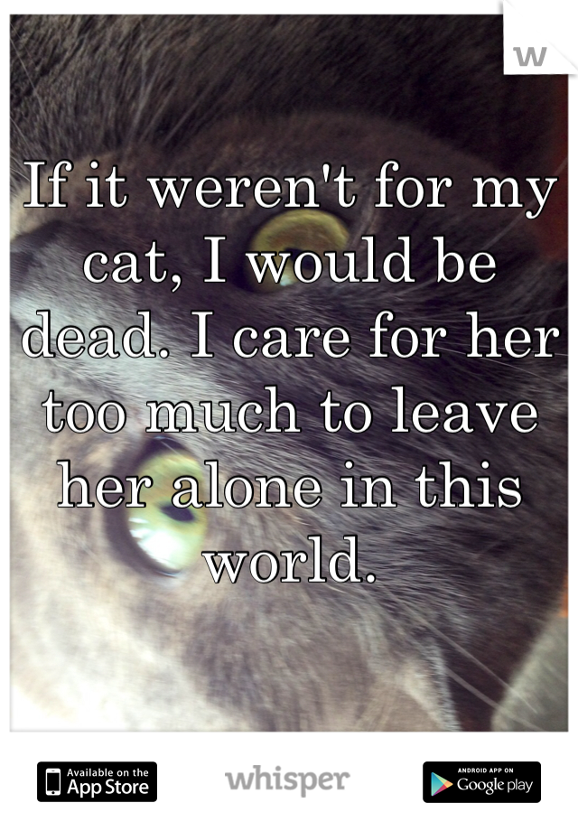 If it weren't for my cat, I would be dead. I care for her too much to leave her alone in this world.