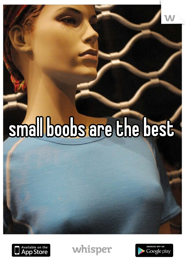small boobs are the best