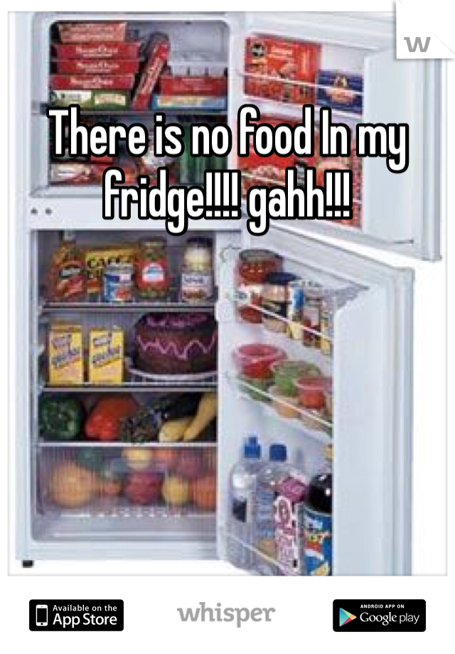 There is no food In my fridge!!!! gahh!!!