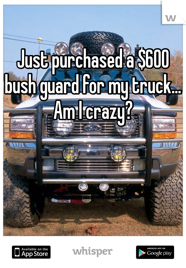 Just purchased a $600 bush guard for my truck... Am I crazy? 