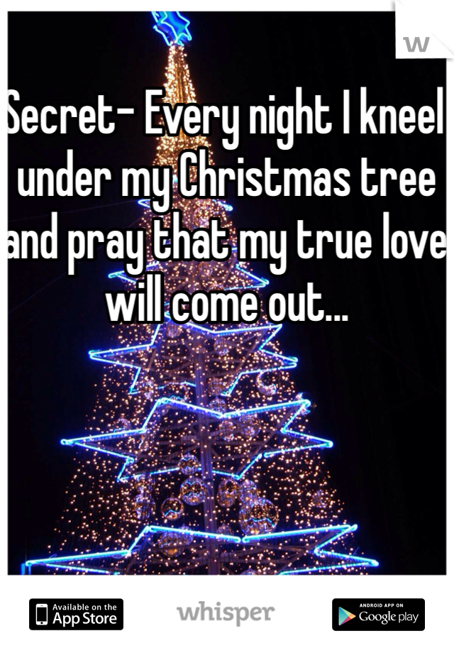 Secret- Every night I kneel under my Christmas tree and pray that my true love will come out...