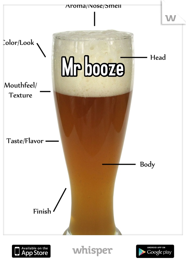 Mr booze