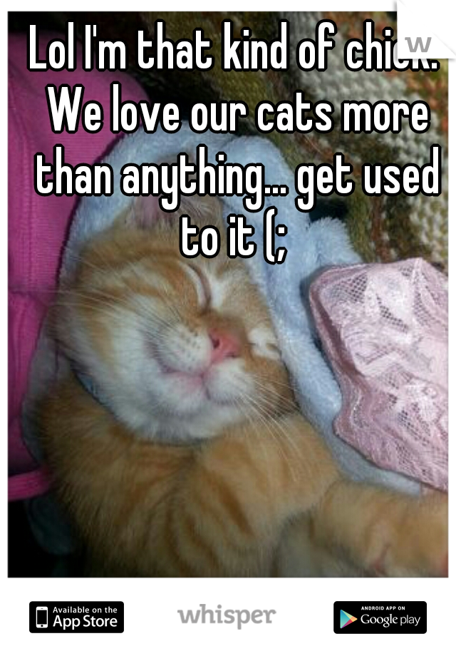 Lol I'm that kind of chick. We love our cats more than anything... get used to it (; 






