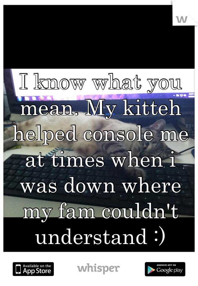 I know what you mean. My kitteh helped console me at times when i was down where my fam couldn't understand :)