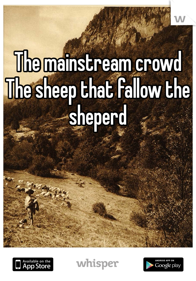 The mainstream crowd
The sheep that fallow the sheperd