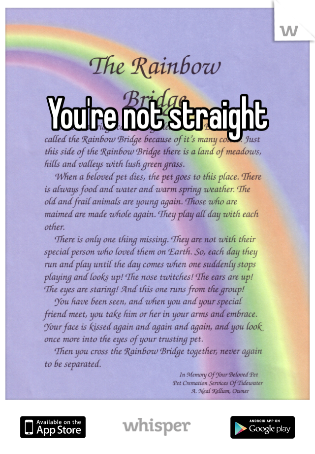 You're not straight 