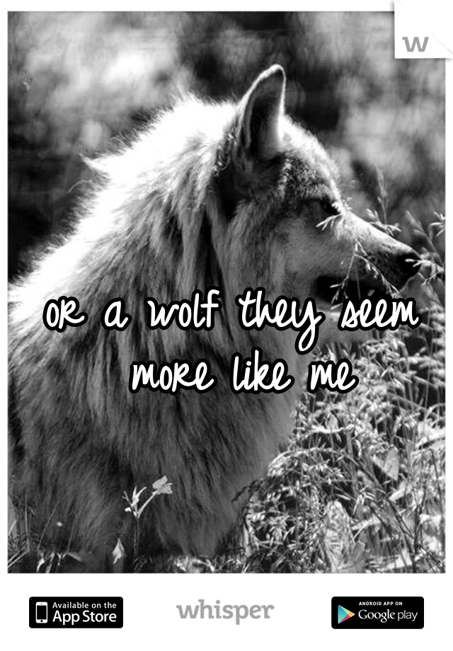 or a wolf they seem more like me